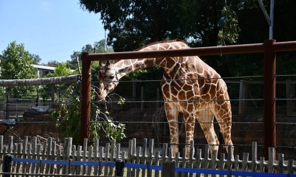 Zoo Atlanta Member Services Office