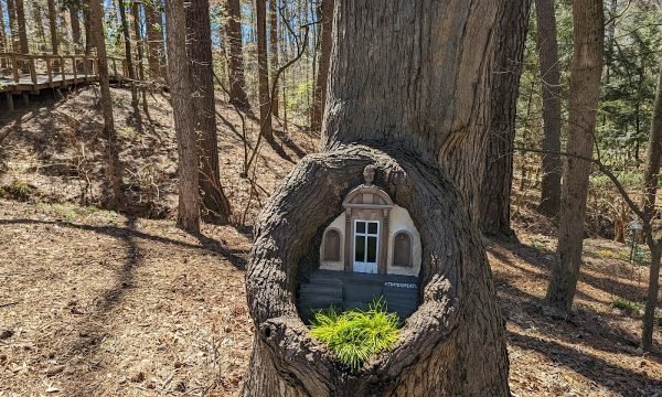 Tiny Door @ Swan House