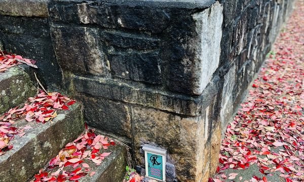Tiny Door 20 - Coan Park