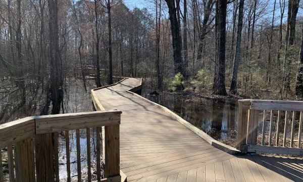 Constitution Lakes