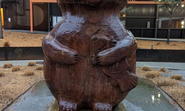 Fat Teddy Bear