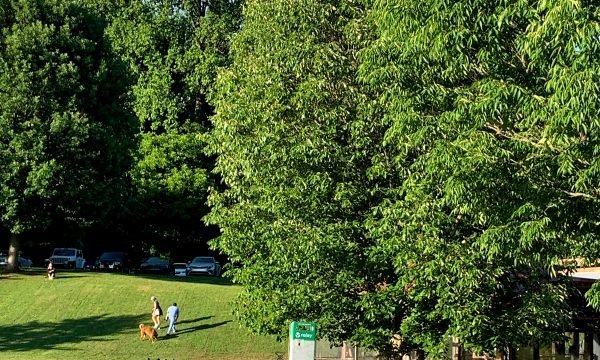 Relay Bikes- Piedmont Park & Eastside BeltLine