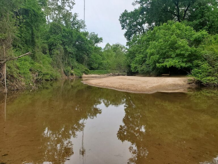 herbert taylor park 768x576