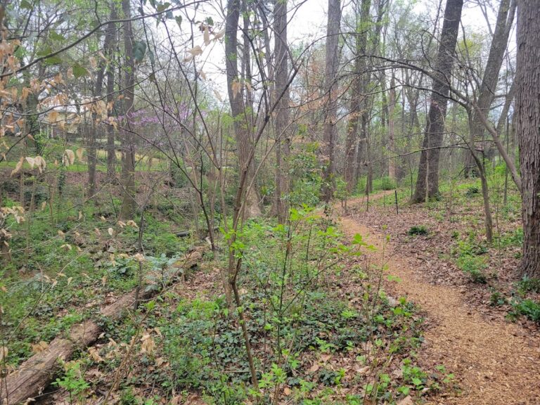 parkwood park 768x576