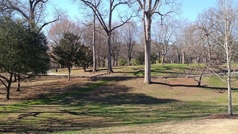 photo.html 102 768x434