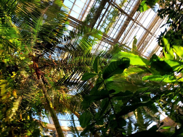 photo.html 1081 768x576