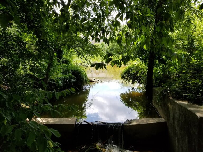 photo.html 1085 768x576