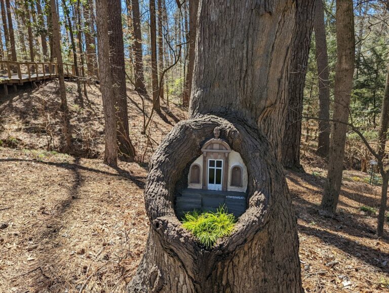 photo.html 119 768x579