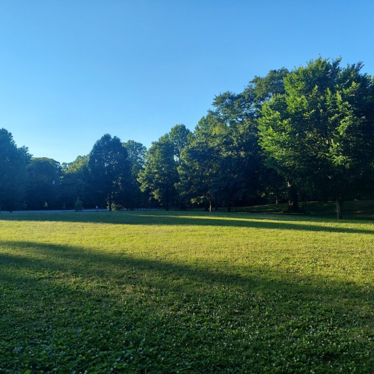 photo.html 131 768x768