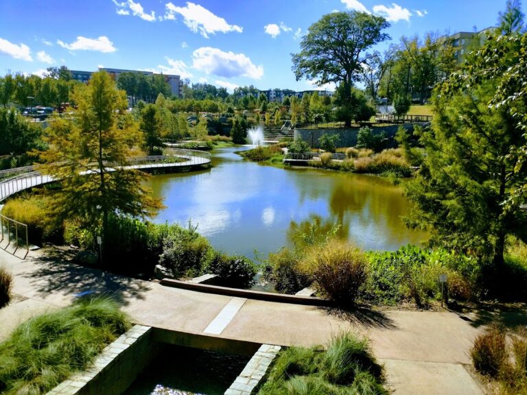 photo.html 147 768x576