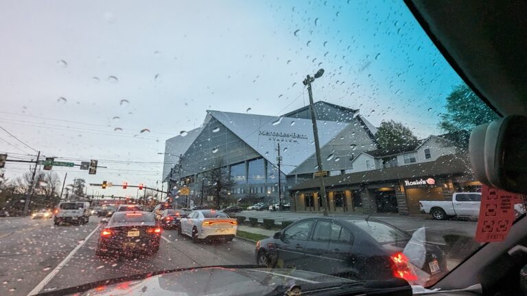 photo.html 198 768x432