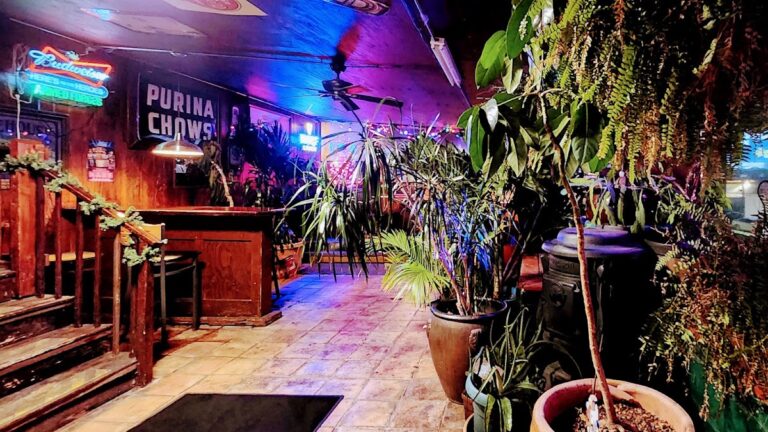 photo.html 306 768x432