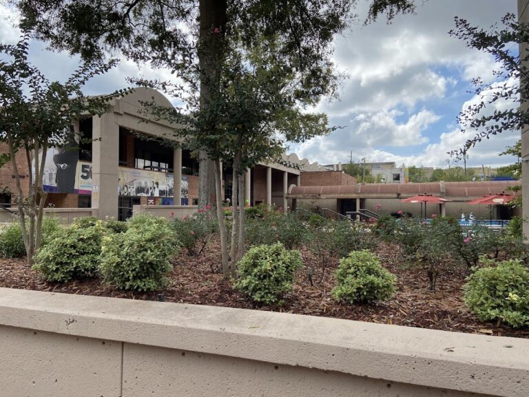 photo.html 35 768x576