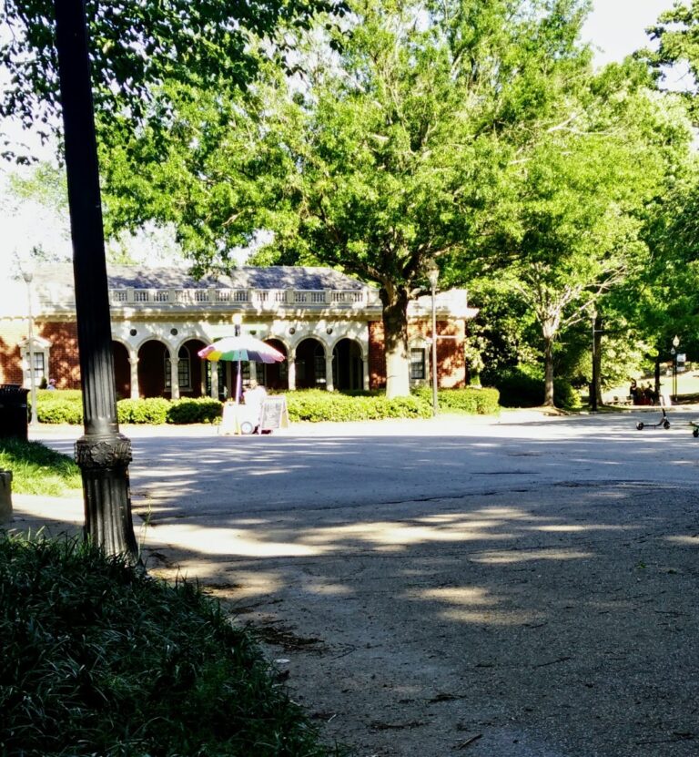 photo.html 590 768x831