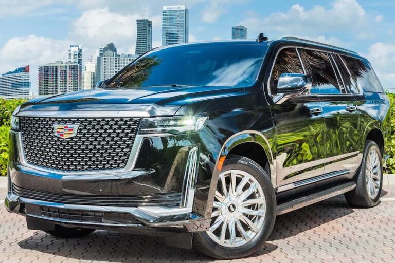 photo.html 684 768x512