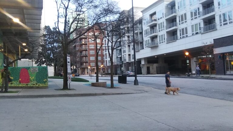 photo.html 695 768x432