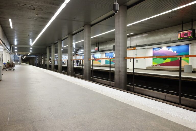 photo.html 700 768x512