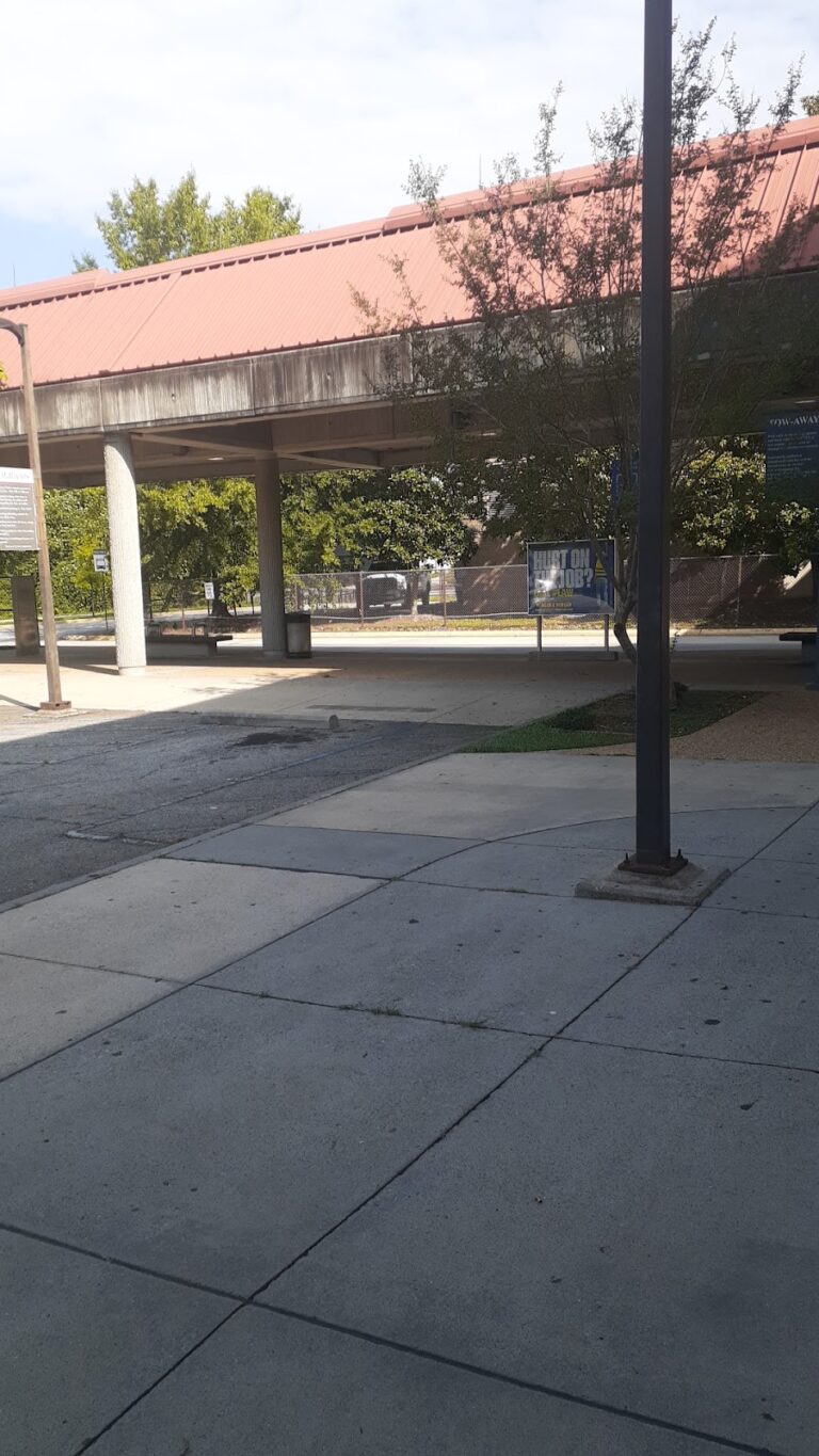 photo.html 703 768x1365