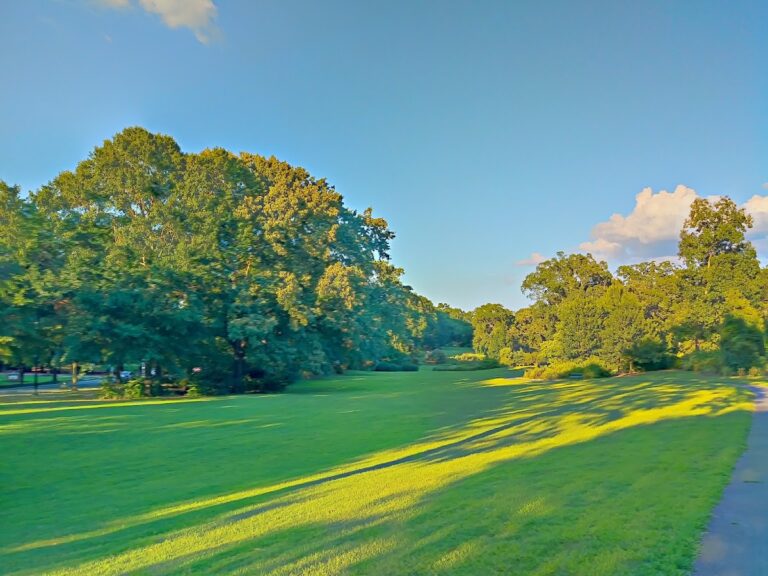 springdale park 768x576